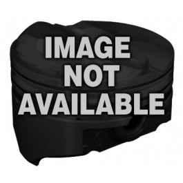 Ford 429/460 35+ Gpm Electric Water Pump Black PCE194.1013