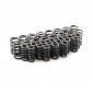 CHEVY 350-454 FORD 302-351W  1.530" Od. Dual Valve Springs W/Damper 205Lbs @ 1.900" ROLLER CAM VALVE SPRINGS